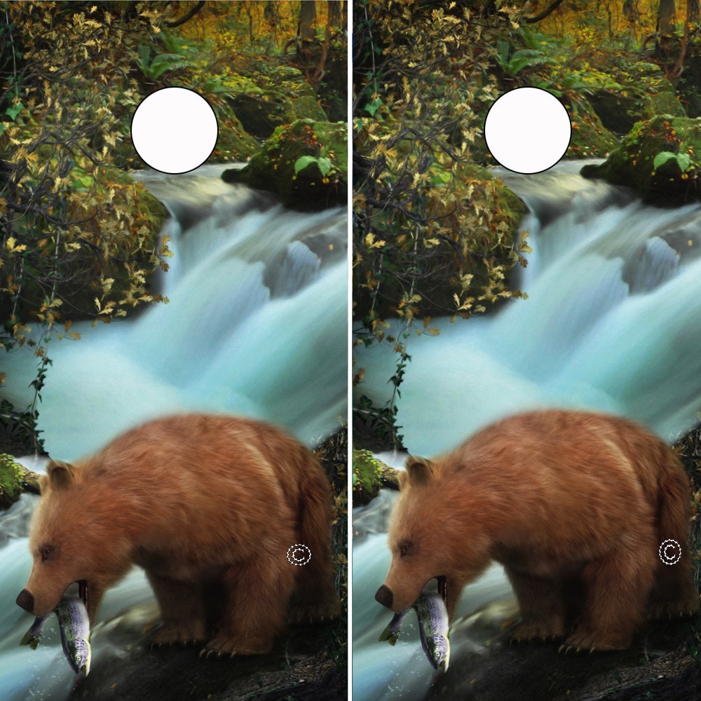 Cornhole Wrap BEAR FISHING IN RIVER Nature Scene - Speed Demon Wraps