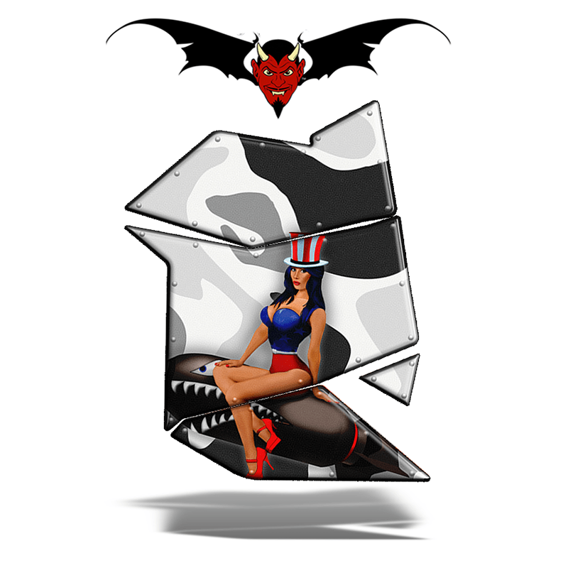Ski-doo Side panels Snow Bomber wraps