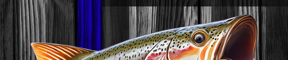 Rainbow Trout Blue Line American Flag Cornhole Wraps Close up