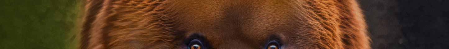Bear Cornhole Wrap Close up
